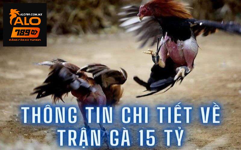 Tìm hiểu trận đá gà 15 tỷ